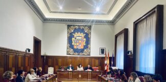 Pleno Diputación de Palencia Día Internacional de la Eliminación de la Violencia contra la Mujer