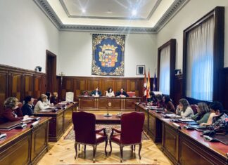 Pleno Diputación de Palencia Día Internacional de la Eliminación de la Violencia contra la Mujer