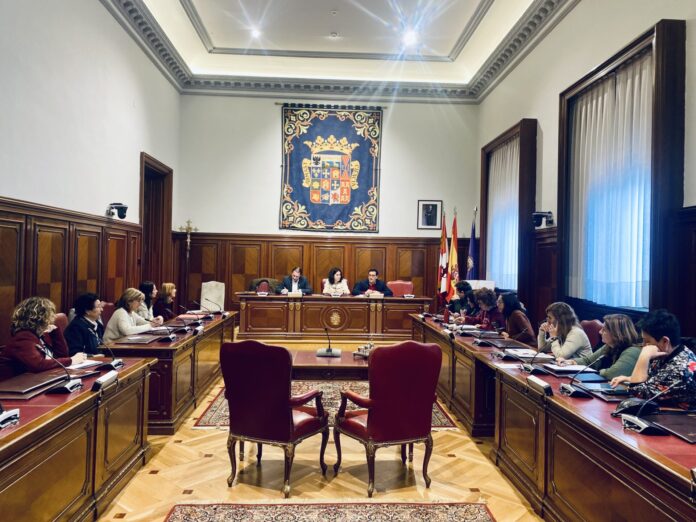 Pleno Diputación de Palencia Día Internacional de la Eliminación de la Violencia contra la Mujer