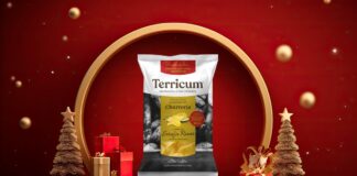 Mockup Terricum Navidad