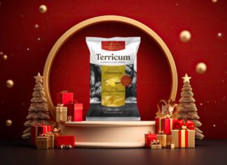 Mockup Terricum Navidad