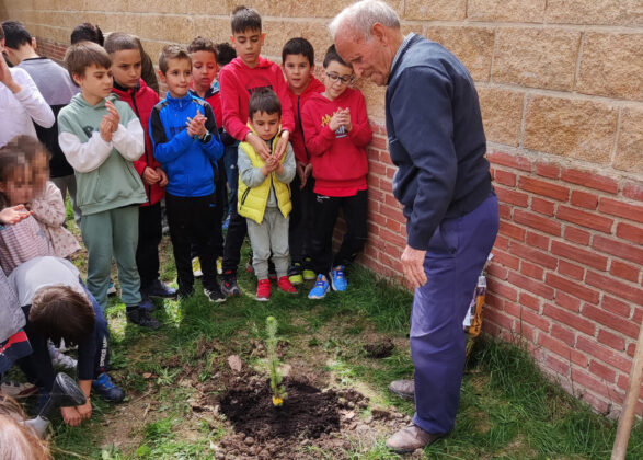 Escuelas Sostenibles