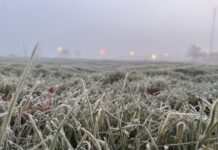 Niebla y bajas temperaturas en Valladolid