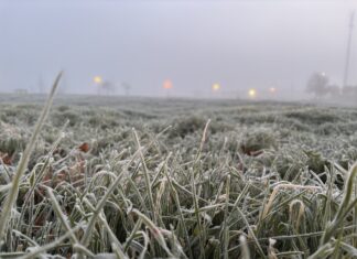 Niebla y bajas temperaturas en Valladolid