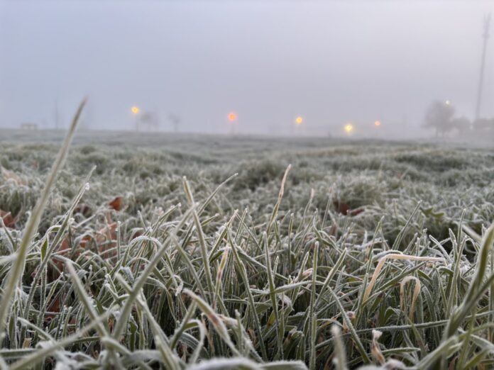 Niebla y bajas temperaturas en Valladolid