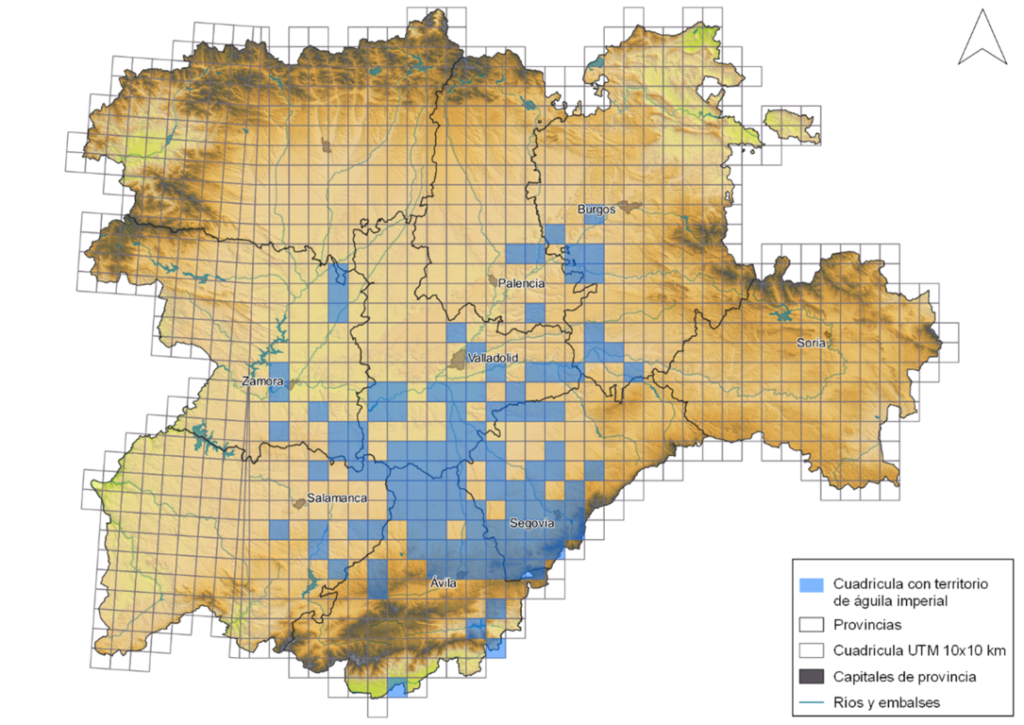 Distribución de los territorios de águila imperial en CyL en 2023