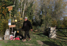 Brágimo - Un proyecto de puesta en valor de su arbolado nacido de una iniciativa vecinal de las localidades palentinas de Valoria del Alcor y Ampudia participa en un concurso del Ministerio de Medioambiente y Transición Ecológica