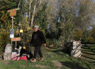 Brágimo - Un proyecto de puesta en valor de su arbolado nacido de una iniciativa vecinal de las localidades palentinas de Valoria del Alcor y Ampudia participa en un concurso del Ministerio de Medioambiente y Transición Ecológica