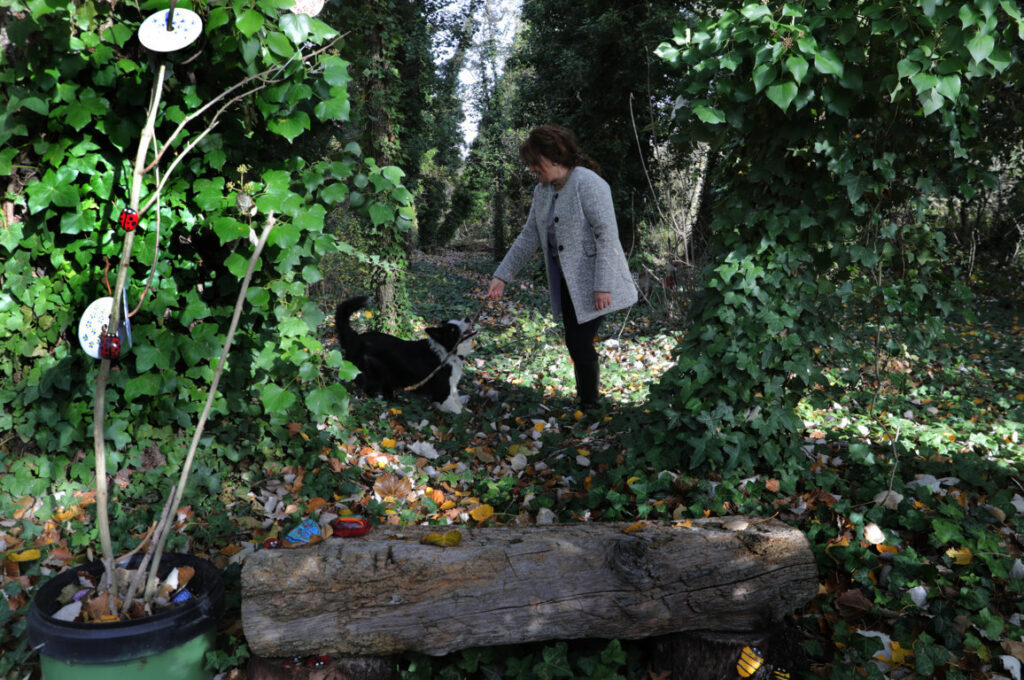 Brágimo - Un proyecto de puesta en valor de su arbolado nacido de una iniciativa vecinal de las localidades palentinas de Valoria del Alcor y Ampudia participa en un concurso del Ministerio de Medioambiente y Transición Ecológica