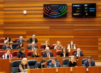 Segunda sesión del pleno de las Cortes de Castilla y León