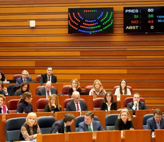 Segunda sesión del pleno de las Cortes de Castilla y León