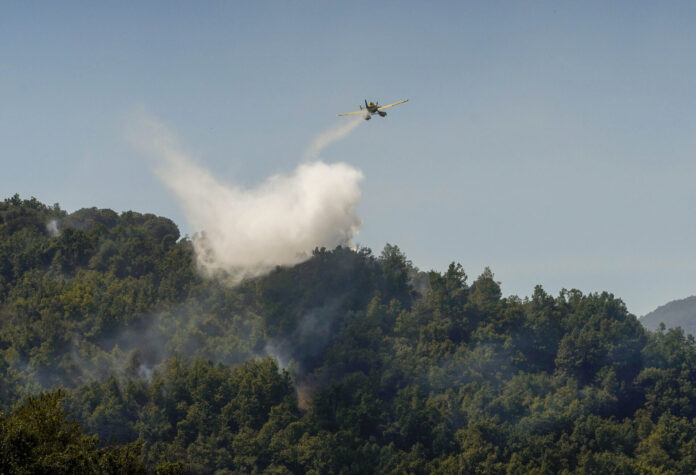 Incendio entre las localidades de Tremor de Abajo y Almagarinos (León)