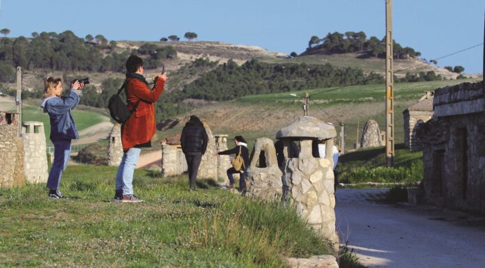 campaña enoturismo Cerrato diputación